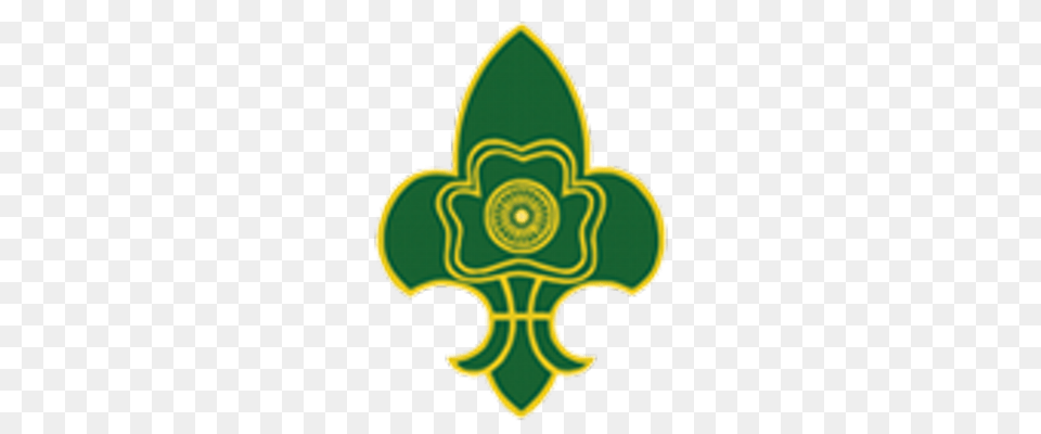Bharat Scouts And Guides India On Twitter We Stand, Green, Flower, Plant, Weapon Png