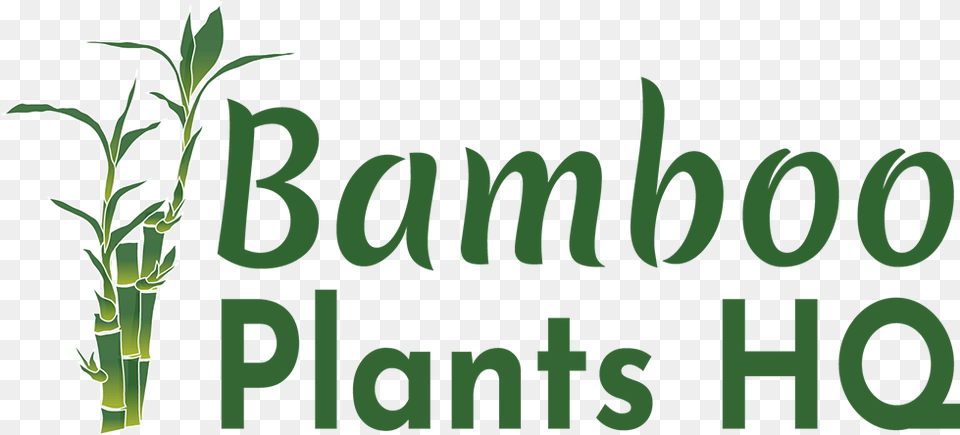 Bhumi, Herbal, Herbs, Plant, Bamboo Free Png