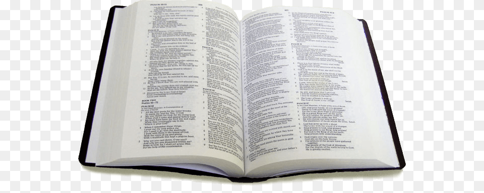 Bible, Book, Page, Person, Publication Free Png Download