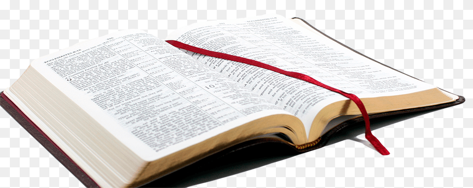 Bible, Book, Page, Publication, Text Png