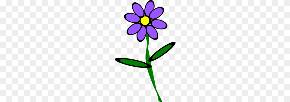 Bible Anemone, Daisy, Flower, Plant Free Transparent Png