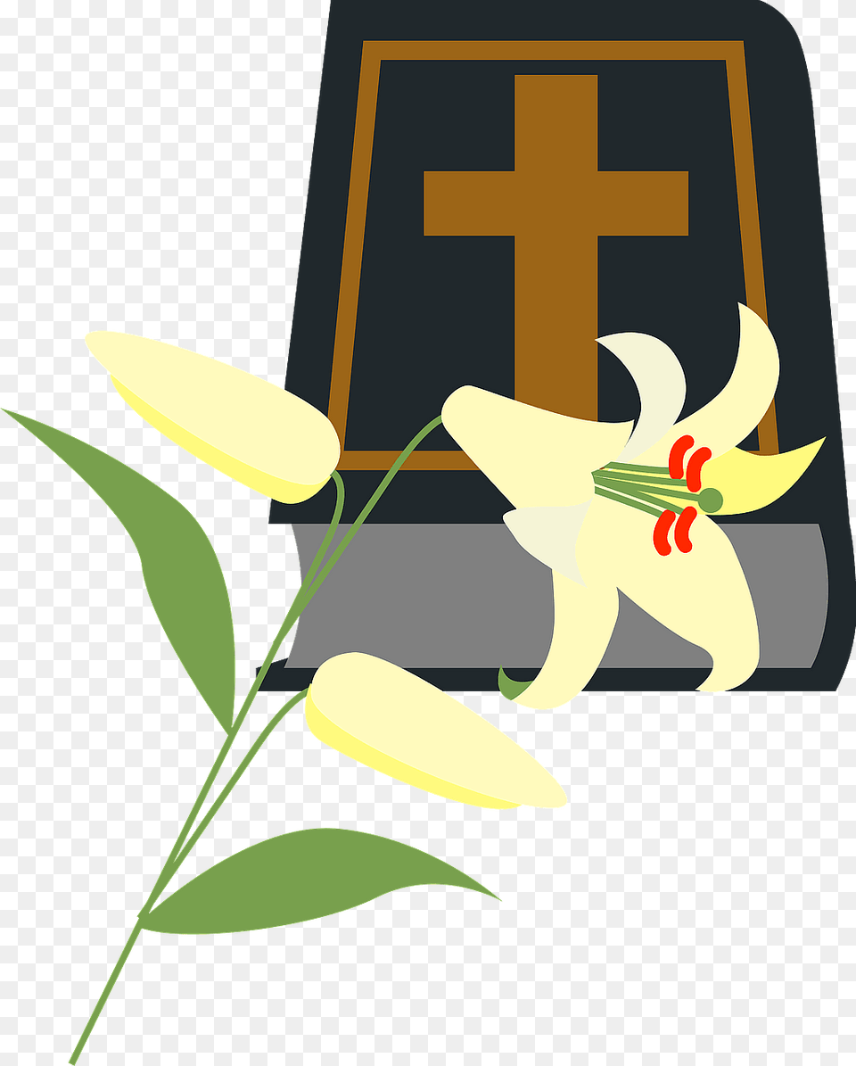 Bible And Lily Clipart, Flower, Plant, Anther Free Transparent Png