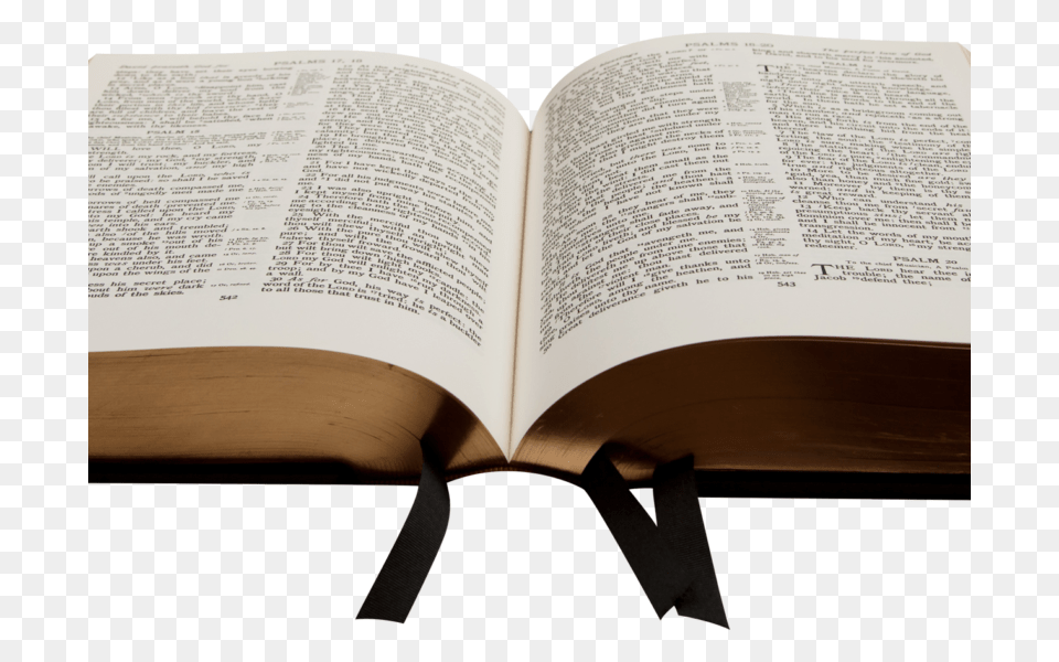Bible Book Image Best Stock Photos, Publication, Page, Text, Person Free Png