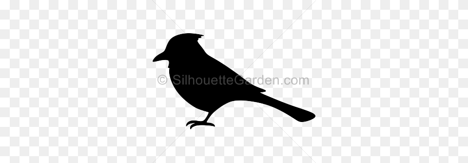 Bible Clip Art, Animal, Bird, Blackbird, Smoke Pipe Png Image