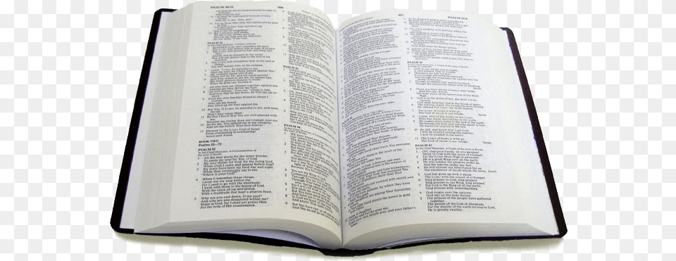 Bible Images Book Holy Bible White Background, Page, Person, Publication, Reading Free Png Download