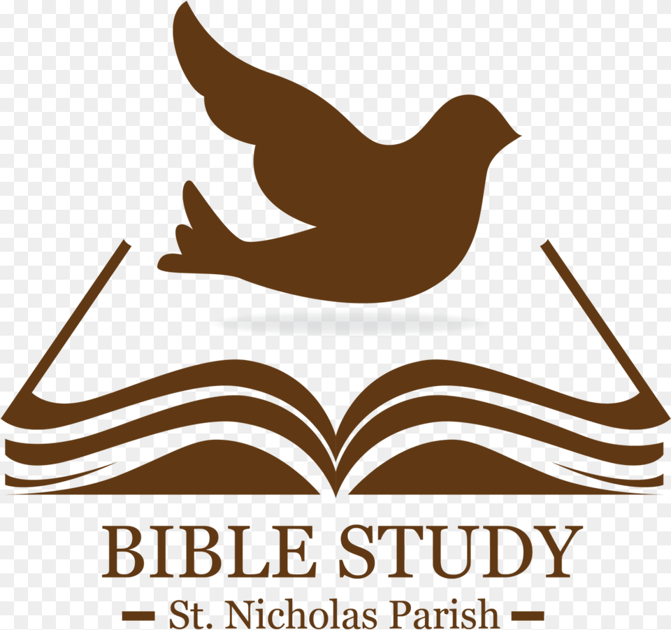 Bible Study Graphics Bible Study, Book, Publication, Person, Advertisement Free Png Download