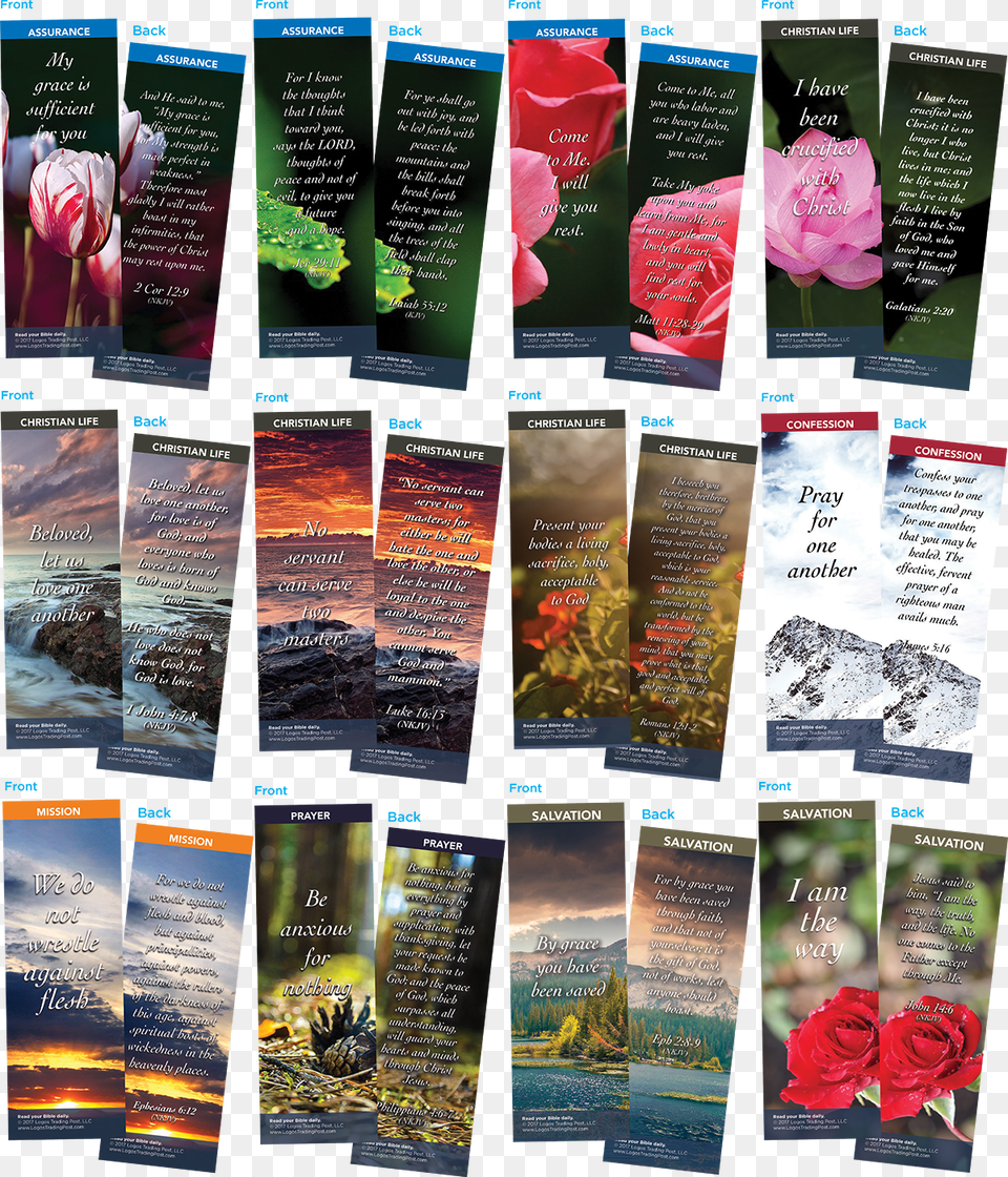 Bible Verse Bookmarks Variety Pack Of, Advertisement, Poster, Flower, Plant Free Png Download