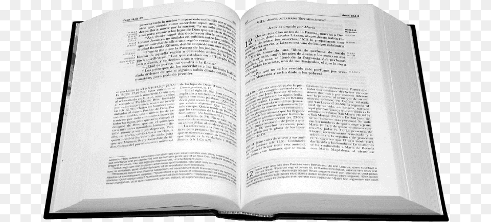 Biblia Abierta De Frente, Book, Page, Publication, Text Free Png