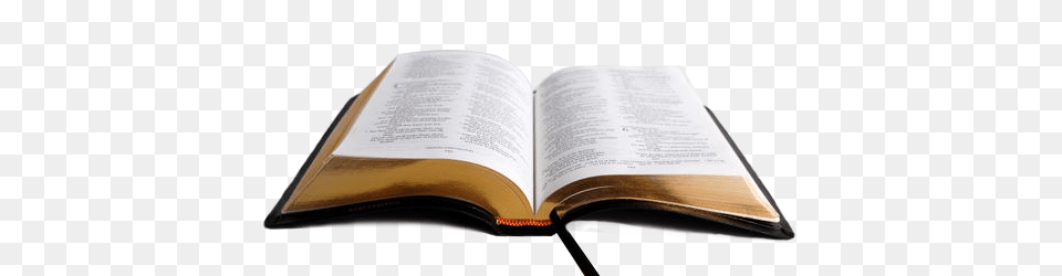 Biblia Image, Book, Page, Person, Publication Free Transparent Png