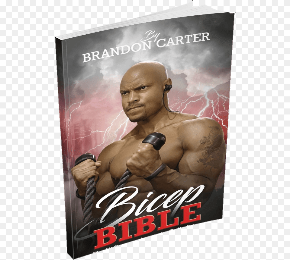 Bicep Bible Book, Publication, Adult, Male, Man Png