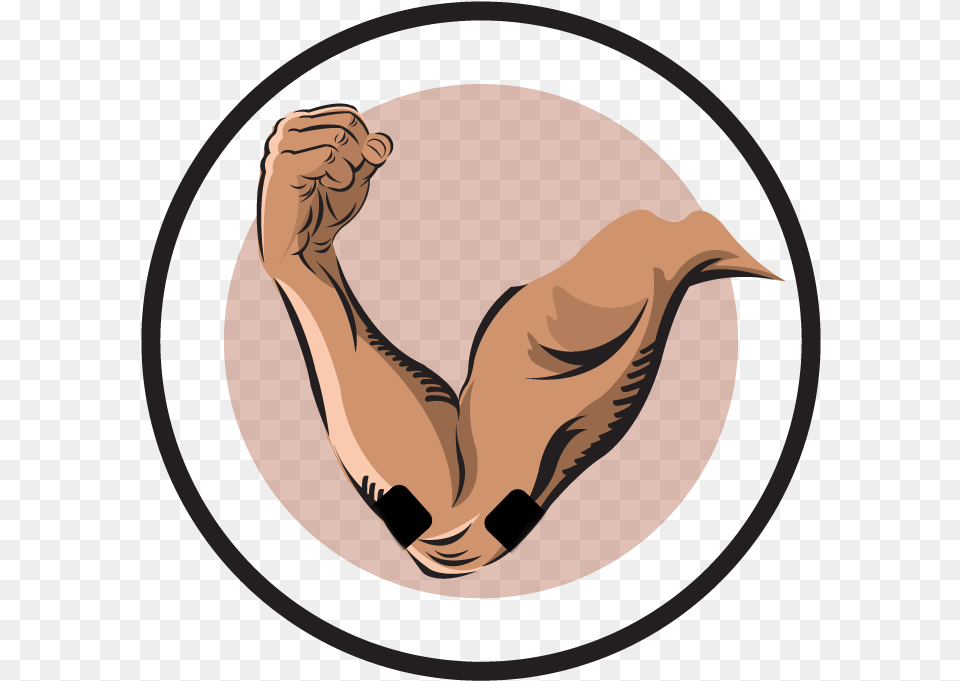 Bicep Clipart Tennis Elbow Tens Placement, Animal, Mammal Png Image