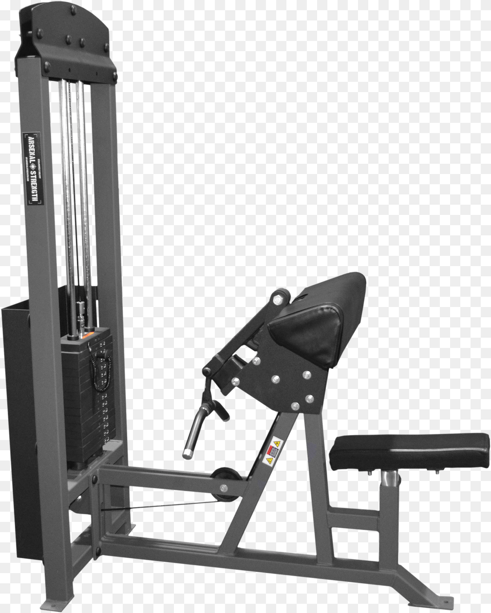 Bicep Curl Gym, Machine, Fitness, Gym Weights, Sport Png