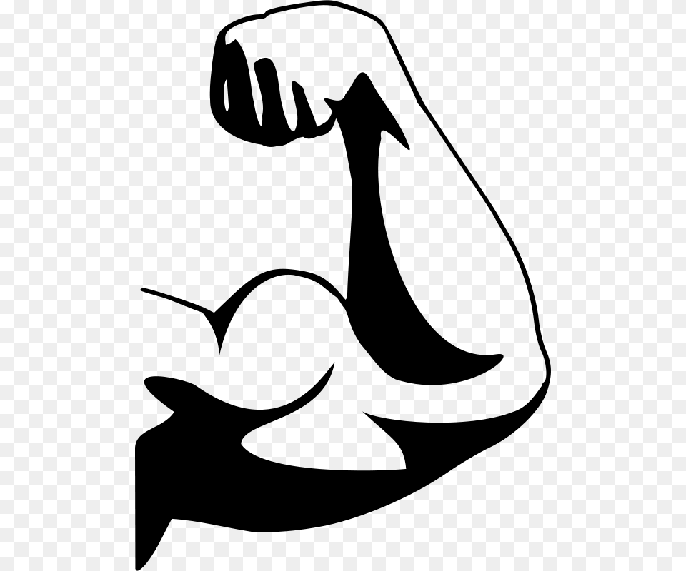 Biceps, Gray Png Image