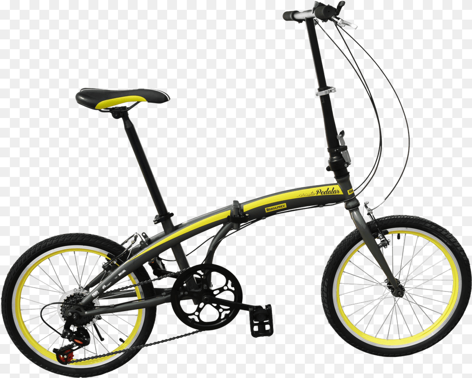 Bicicleta Dobravel Circuito Pedalar, Bicycle, Transportation, Vehicle, Machine Png Image