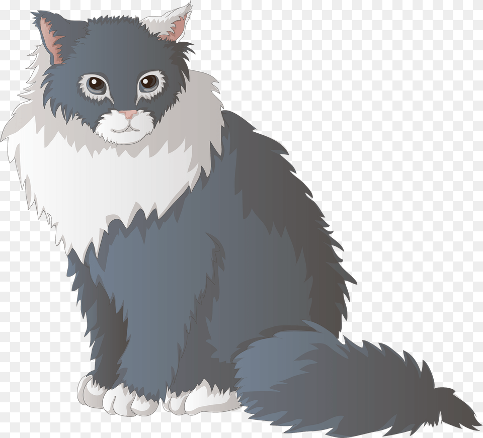 Bicolor Cat Clipart, Angora, Animal, Mammal, Pet Free Png