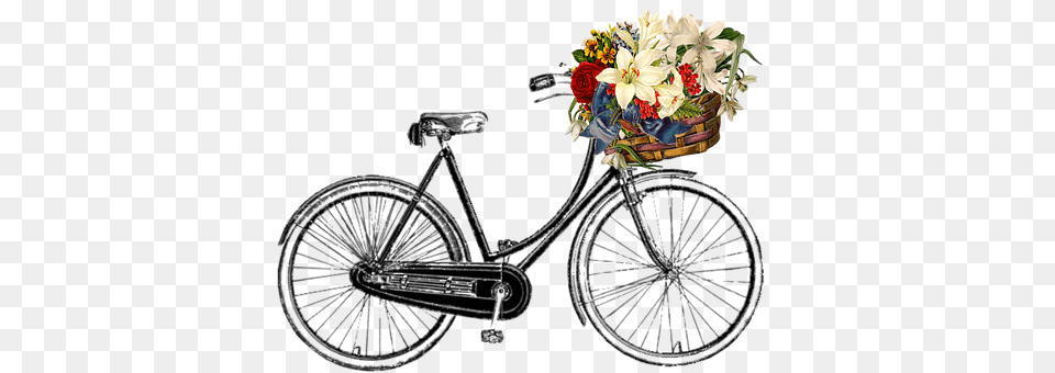Bicycle Flower, Flower Arrangement, Flower Bouquet, Plant Png Image