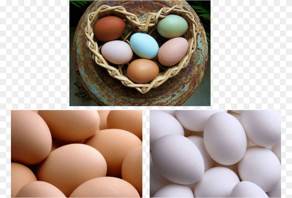 Bielefelder Chicken Egg Download Chicken Ear Lobes And Egg Color, Food, Easter Egg Png