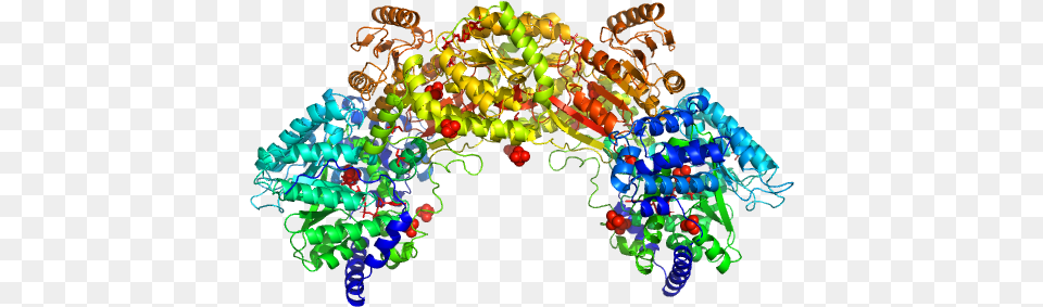 Bifunctional Protein Puta Pdb Modeltitle Load Illustration, Accessories, Pattern, Bead, Ornament Free Png