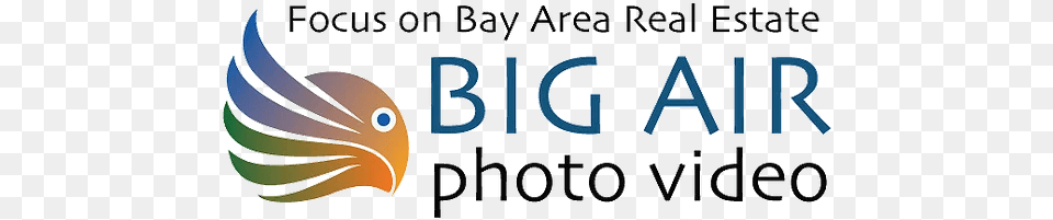 Big Air Photo Video Photography From Air And Land Big Bear Alpine Zoo, Logo, Animal, Beak, Bird Free Transparent Png