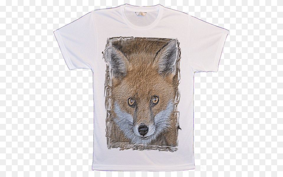 Big Animal Face Fox Gaze T Shirts Image Swift Fox, Clothing, T-shirt, Canine, Dog Free Png
