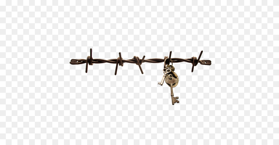 Big Barb Wire Key And Jewelry Holder Big Barb Wire, Barbed Wire, Chandelier, Lamp Png