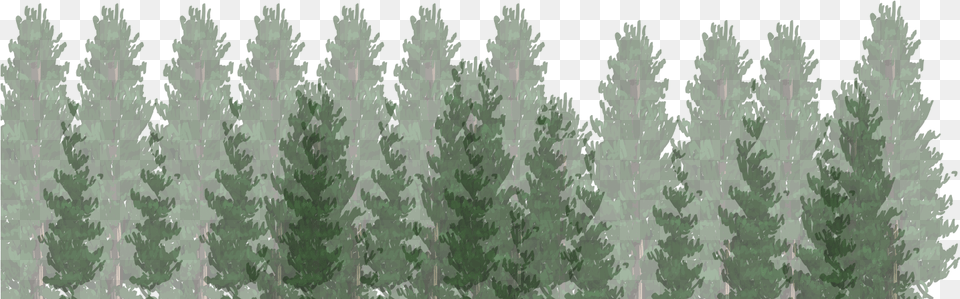Big Bear Inn Christmas Tree, Conifer, Green, Vegetation, Plant Free Png Download