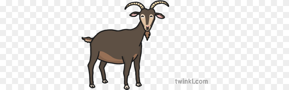 Big Billy Goat Gruff Illustration Twinkl Animal Figure, Livestock, Mammal, Cattle, Cow Free Transparent Png