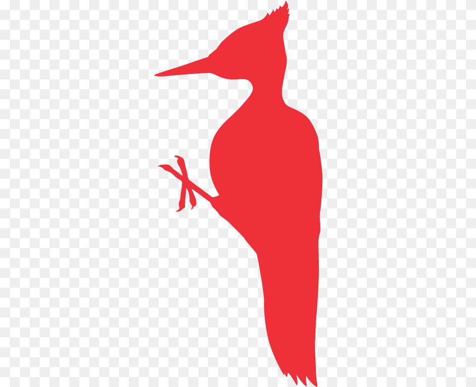 Big Bird, Animal, Beak, Crane Bird, Waterfowl Free Png Download
