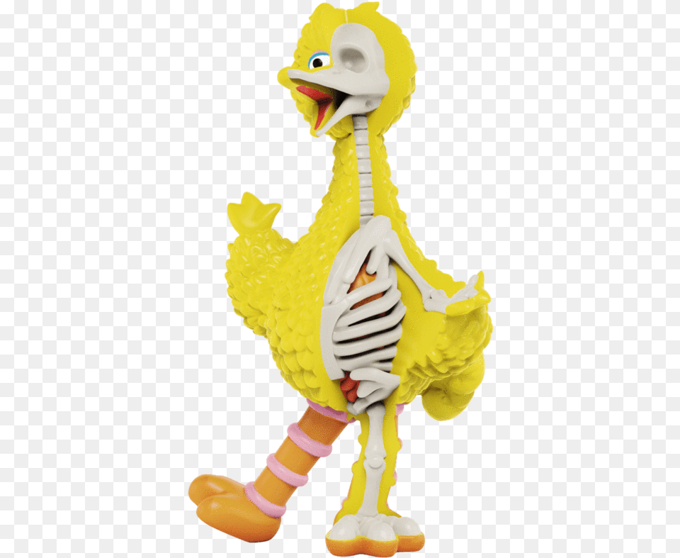 Big Bird, Baby, Person Free Png Download