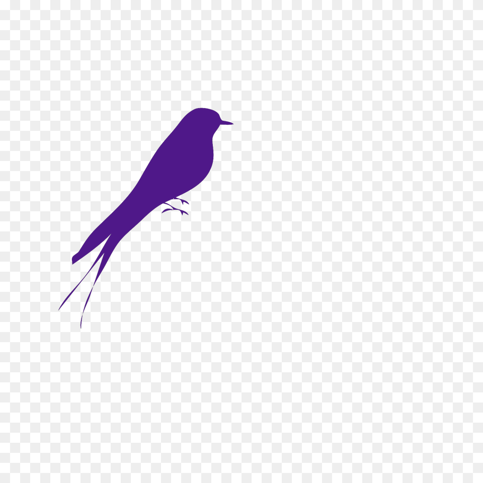 Big Bird Clip Art Clipart Purple Bird, Animal, Blackbird Png