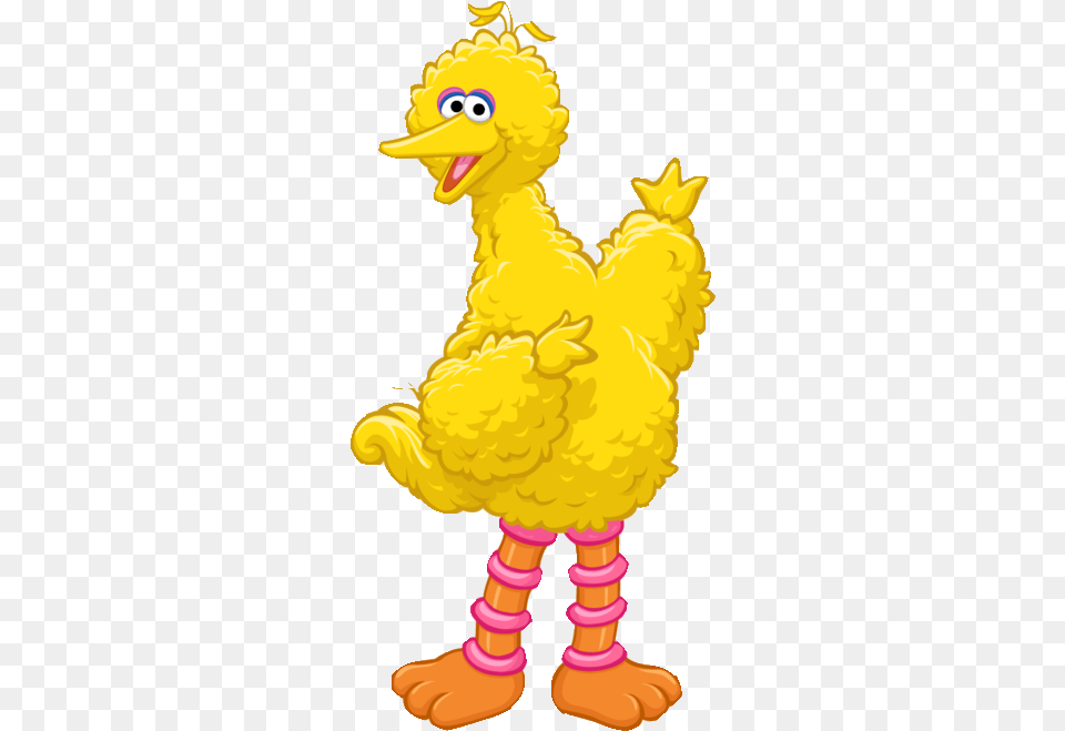 Big Bird Elmo Ernie Oscar The Grouch Big Bird Sesame Street Cartoon, Baby, Person Png