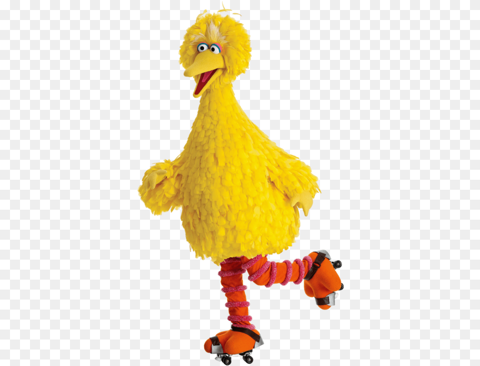 Big Bird Elmo Mega Limited Desktop Wallpaper Bird Monster Sesame Street Big Bird, Animal Free Png