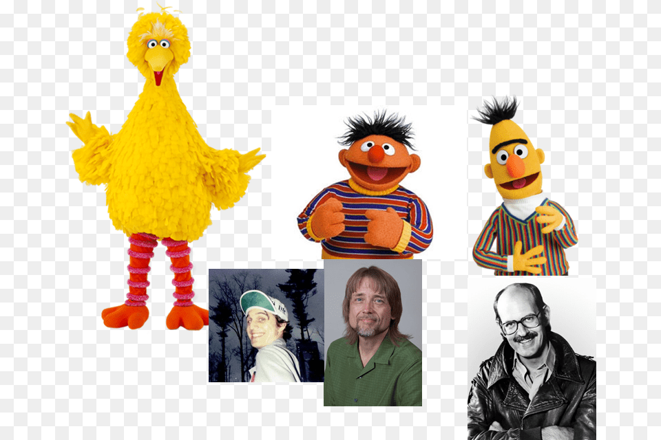 Big Bird Ernie Bert Abby Cadabby Zoe Big Bird Sesame Street Muppet, Adult, Person, Man, Male Png