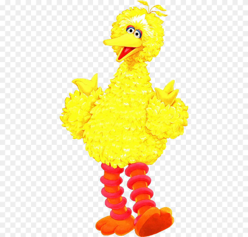 Big Bird Images Big Bird Sesame Street Cartoon, Toy, Animal, Pinata Free Transparent Png