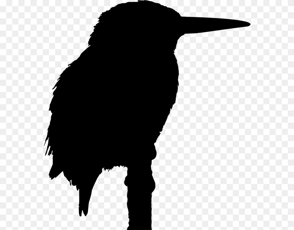 Big Bird Kingfisher Silhouette Drawing, Gray Free Png Download