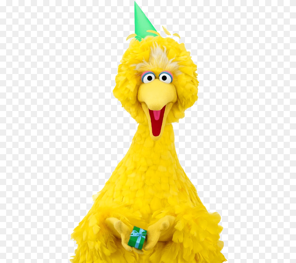 Big Bird Transparent, Clothing, Hat, Baby, Person Free Png