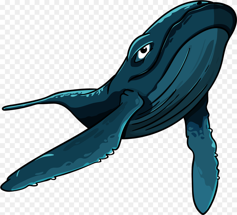 Big Blue Whale, Animal, Mammal, Sea Life, Fish Free Png Download