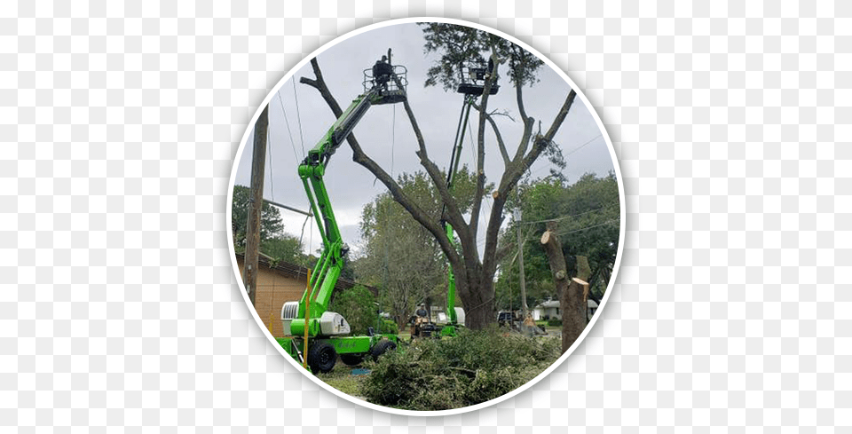 Big Branch Tree Service Superior Tree Services In Soil, Photography, Plant, Utility Pole, Construction Png