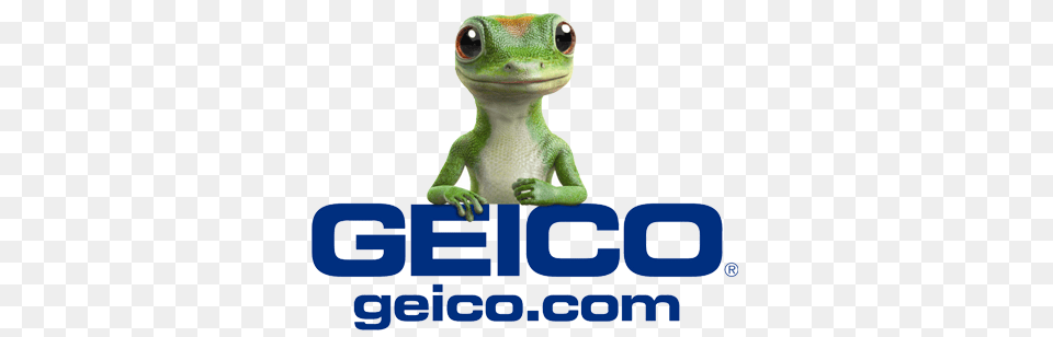 Big Brothers Big Sisters Of Nyc, Animal, Gecko, Lizard, Reptile Free Transparent Png