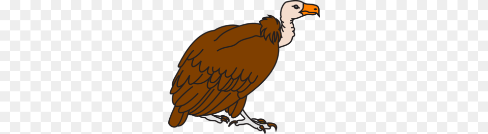 Big Brown Vulture Clip Art, Animal, Bird, Condor Png