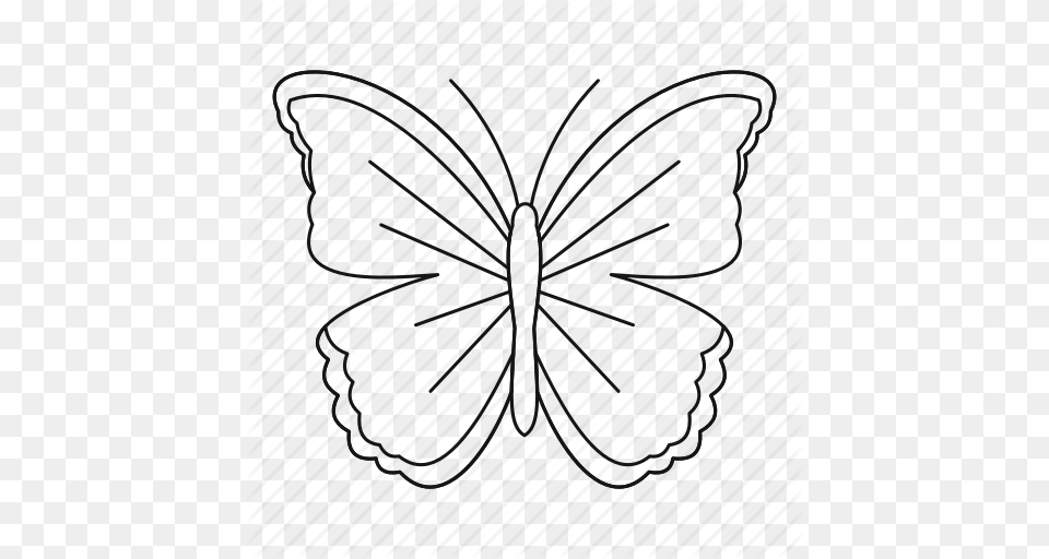 Big Butterfly Bug Fly Moth Outline Spring Tattoo Icon, Accessories, Formal Wear, Tie, Bow Tie Png