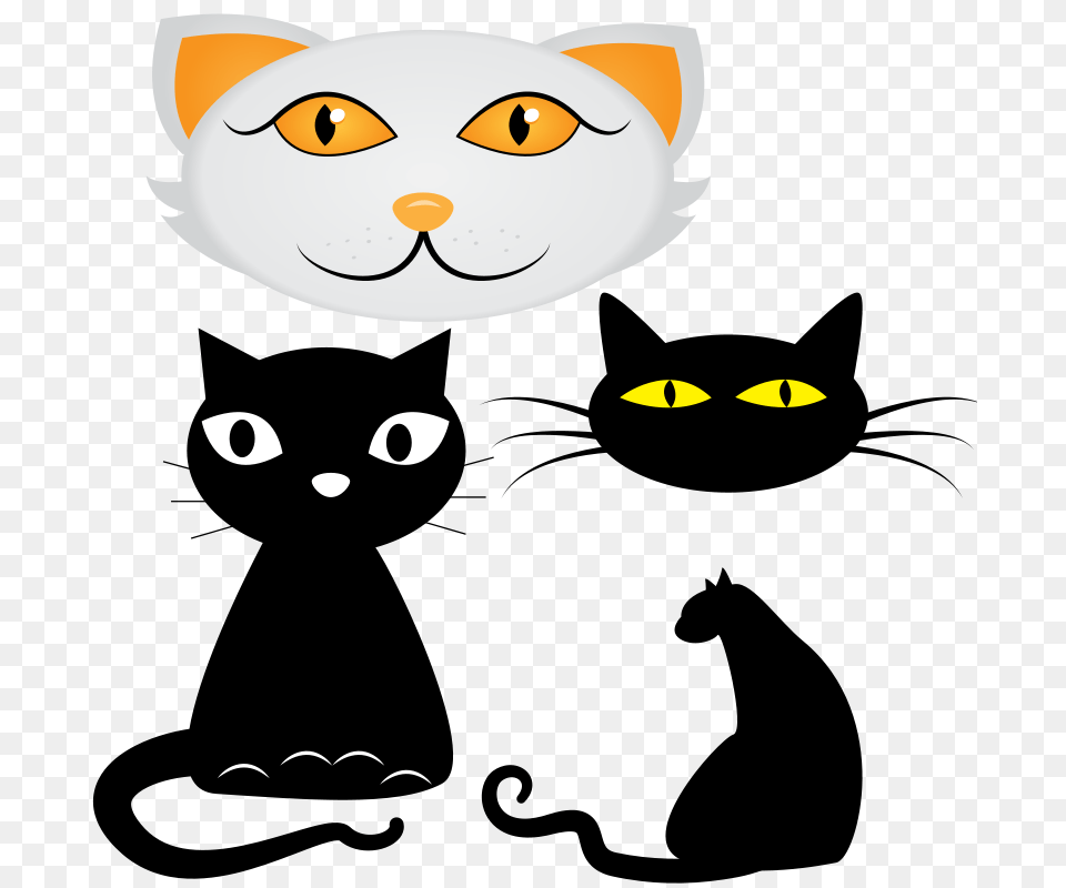 Big Cat Clipart Big Eye, Face, Head, Person, Baby Free Png