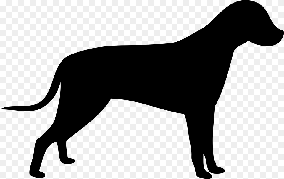 Big Cat Clipart Dog Outline, Gray Free Transparent Png