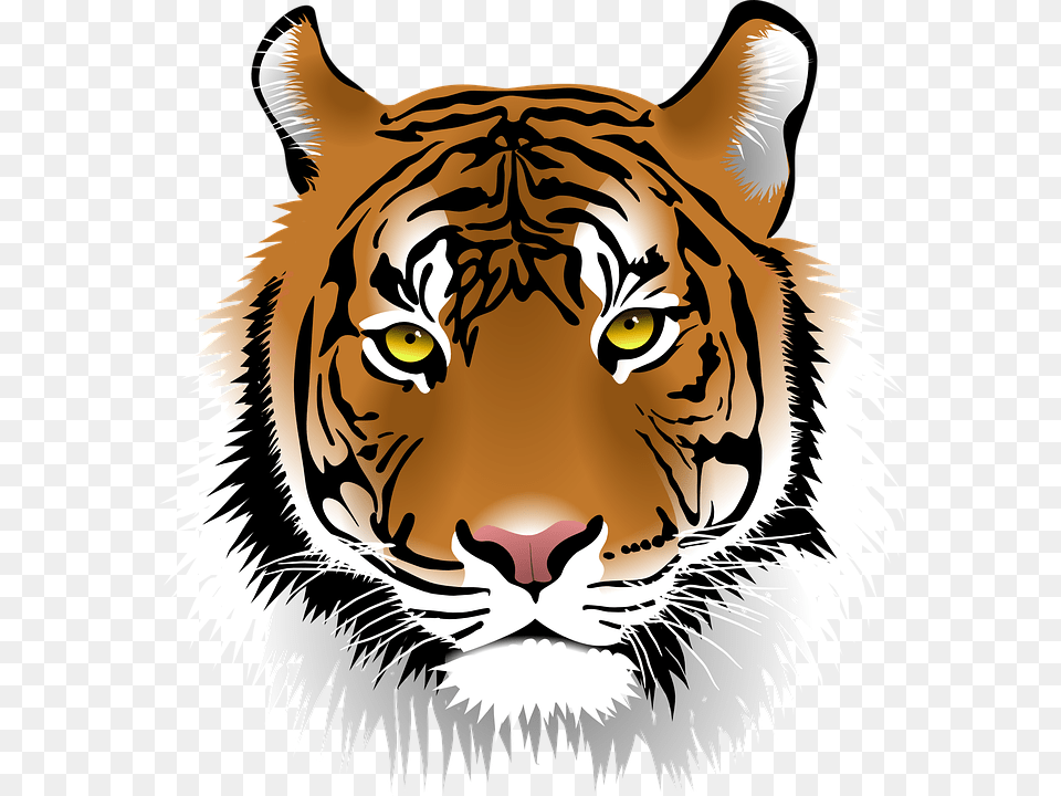Big Cat Clipart Harimau, Animal, Mammal, Tiger, Wildlife Free Transparent Png