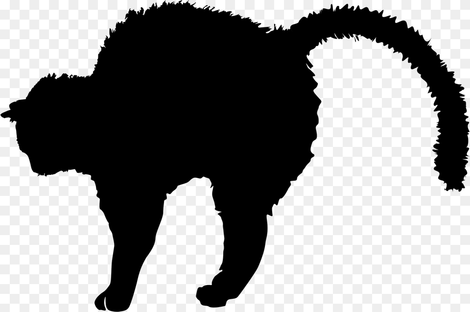 Big Cat Fighting Silhouette, Gray Free Transparent Png