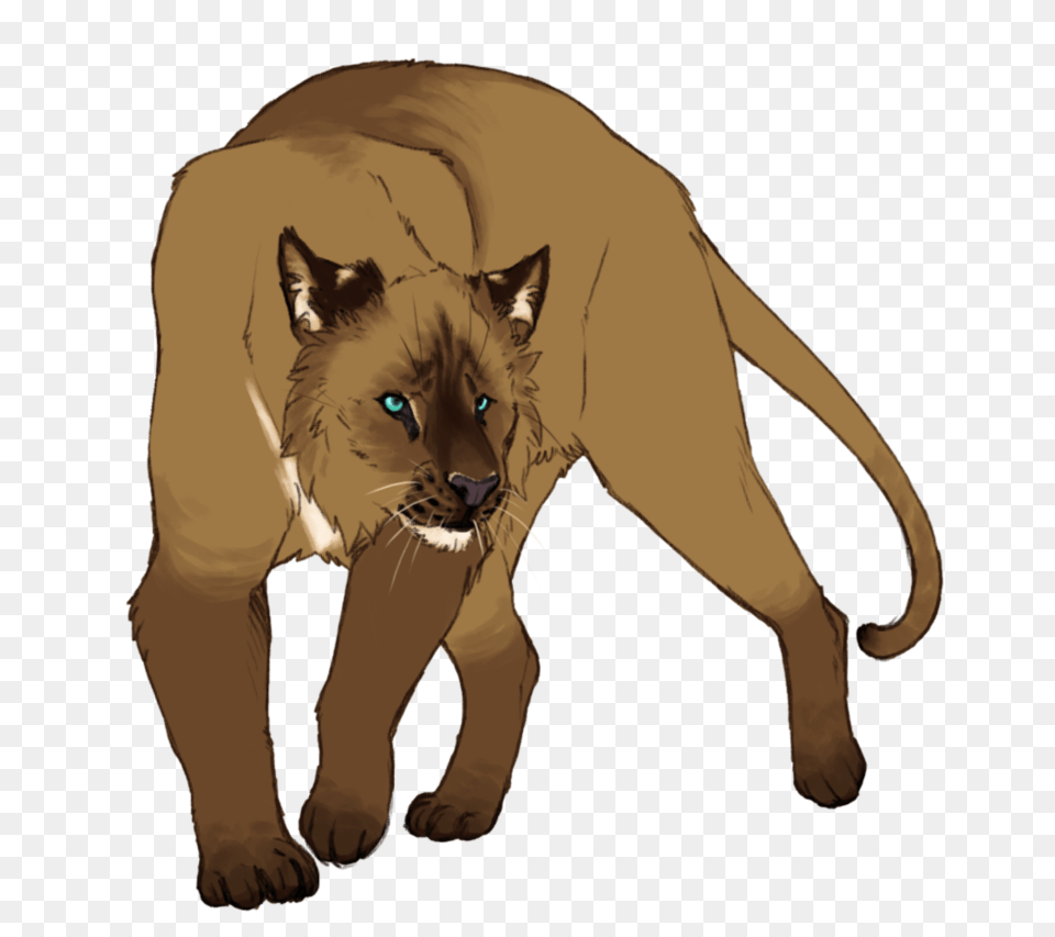 Big Cat Transparent Big Cat, Animal, Lion, Mammal, Wildlife Png Image