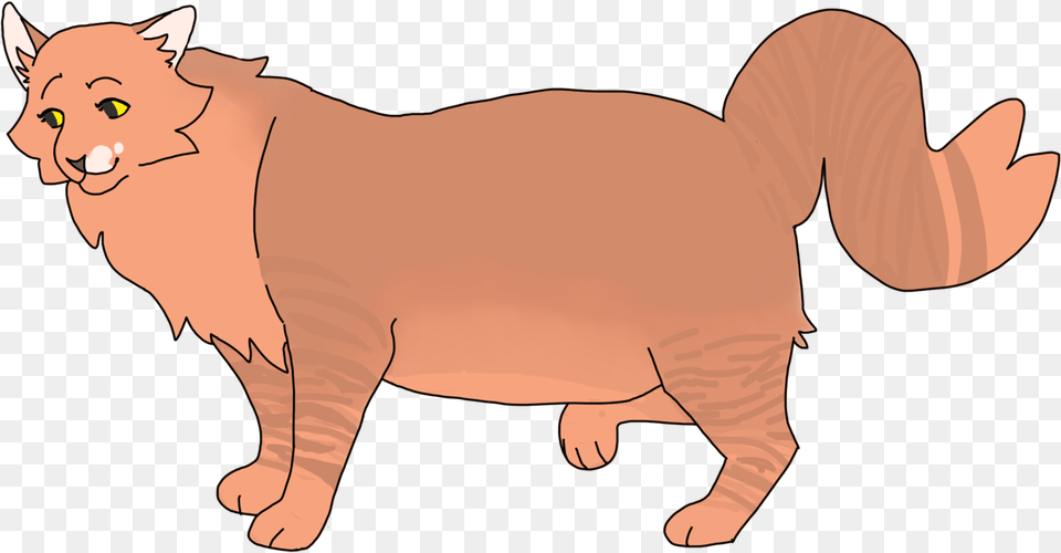 Big Cats, Baby, Person, Animal, Cat Free Transparent Png