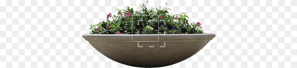 Big Concrete Flower Planter Flower Landscape, Vase, Pottery, Potted Plant, Plant Png Image