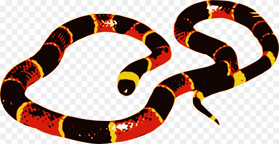 Big Coral Snake Clip Art, Animal, King Snake, Reptile, Person Free Png Download