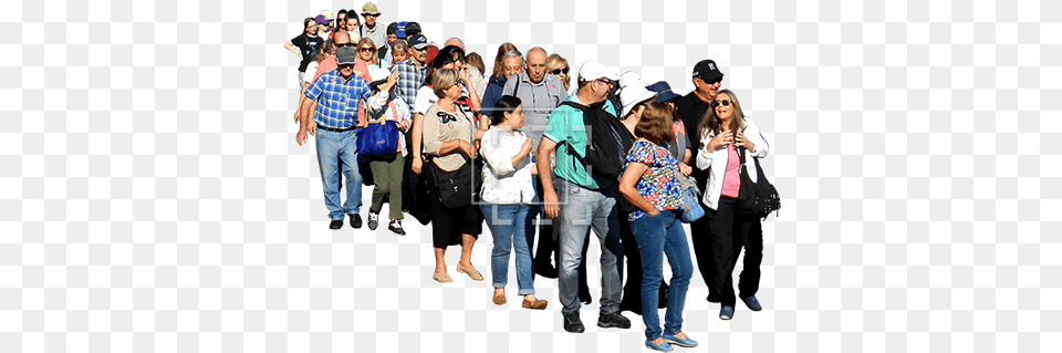 Big Crowd Of People From Above People Standing In Line, Hat, Clothing, Cap, Pants Free Png